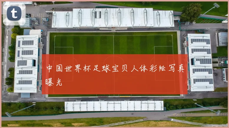 中国世界杯足球宝贝人体彩绘写真曝光