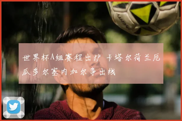 世界杯A组赛程出炉 卡塔尔荷兰厄瓜多尔塞内加尔争出线