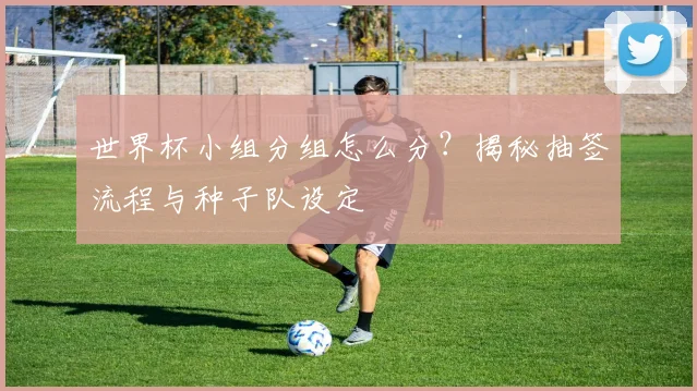 世界杯小组分组怎么分?揭秘抽签流程与种子队设定