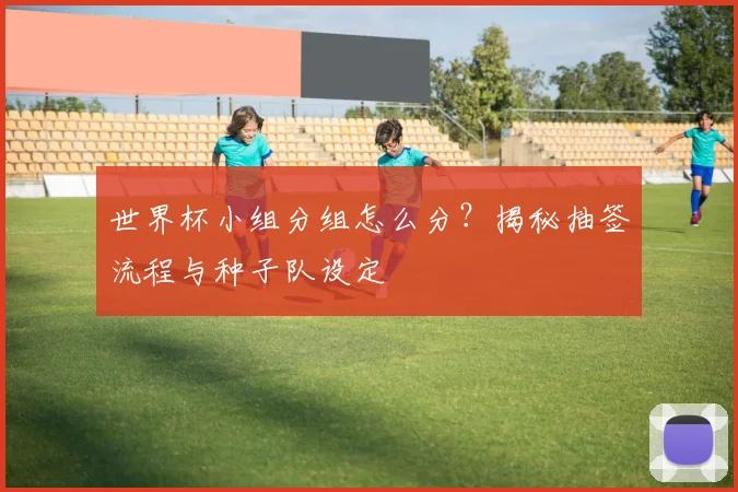 世界杯小组分组怎么分？揭秘抽签流程与种子队设定