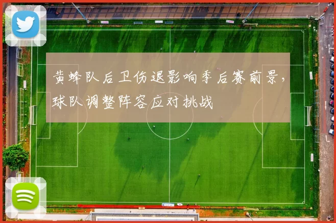 黄蜂队后卫伤退影响季后赛前景，球队调整阵容应对挑战