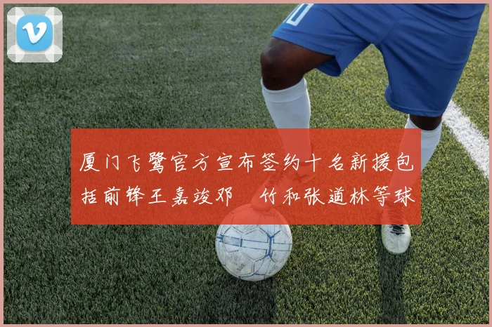 厦门飞鹭官方宣布签约十名新援包括前锋王嘉竣邓棽竹和张道林等球员