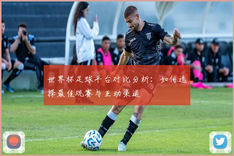 世界杯足球平台对比分析：如何选择最佳观赛与互动渠道