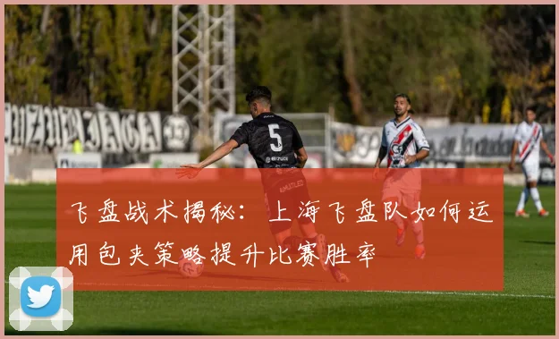 飞盘战术揭秘：上海飞盘队如何运用包夹策略提升比赛胜率