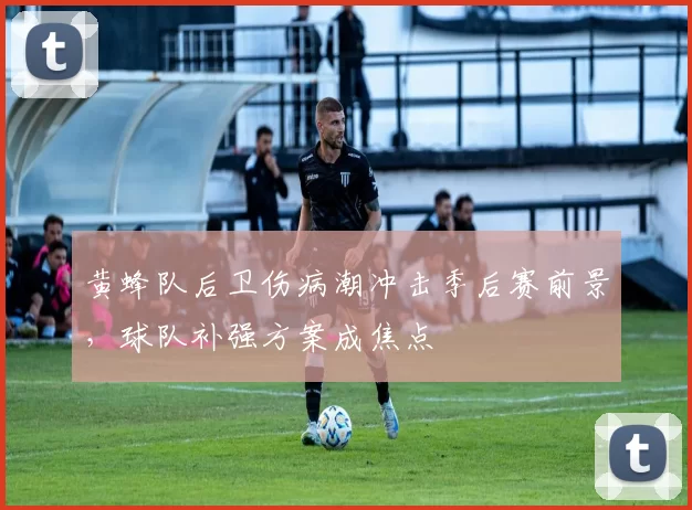 黄蜂队后卫伤病潮冲击季后赛前景，球队补强方案成焦点