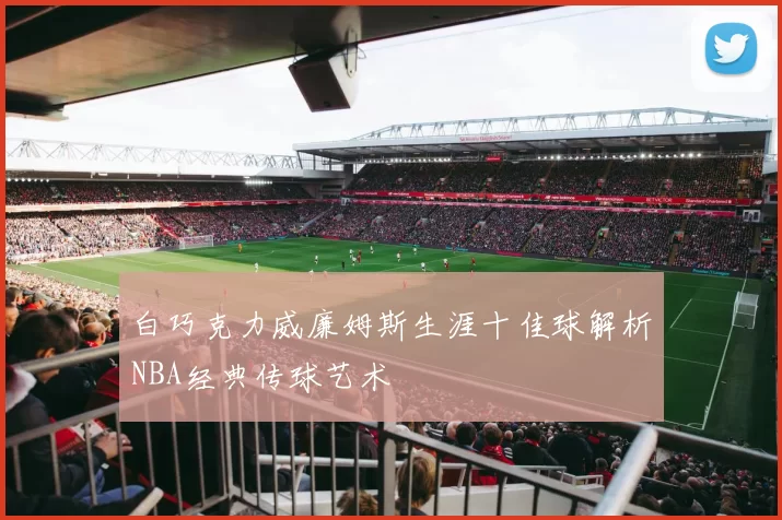 白巧克力威廉姆斯生涯十佳球解析NBA经典传球艺术