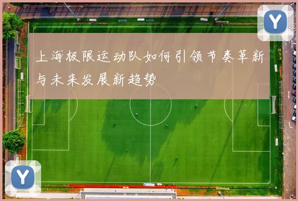 上海极限运动队如何引领节奏革新与未来发展新趋势