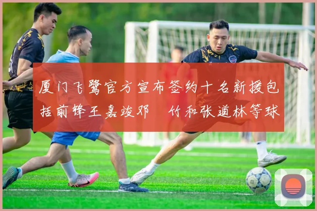 厦门飞鹭官方宣布签约十名新援包括前锋王嘉竣邓棽竹和张道林等球员
