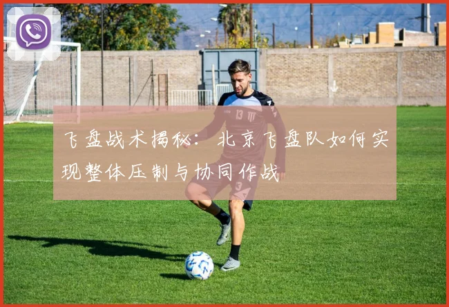 飞盘战术揭秘：北京飞盘队如何实现整体压制与协同作战