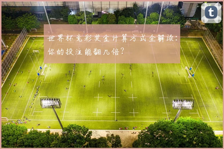 世界杯竞彩奖金计算方式全解读：你的投注能翻几倍？