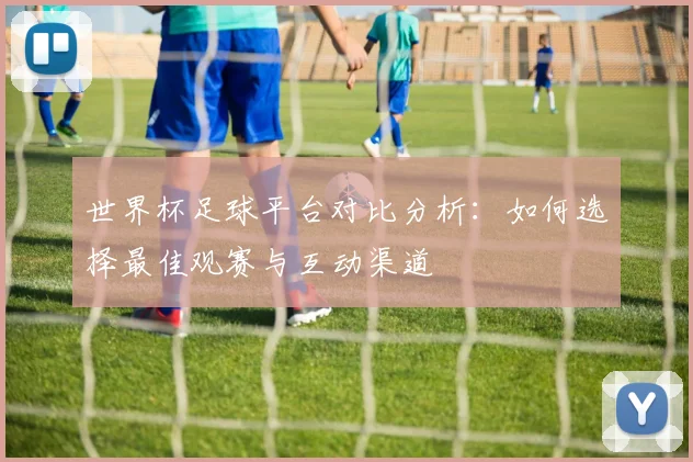 世界杯足球平台对比分析：如何选择最佳观赛与互动渠道