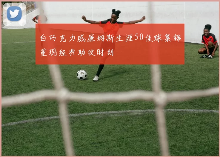 白巧克力威廉姆斯生涯50佳球集锦重现经典助攻时刻