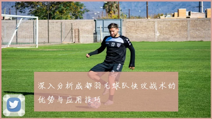 深入分析成都羽毛球队快攻战术的优势与应用技巧